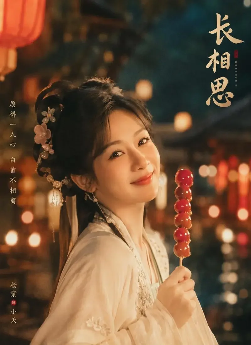 《甜宠小娘子》小封面